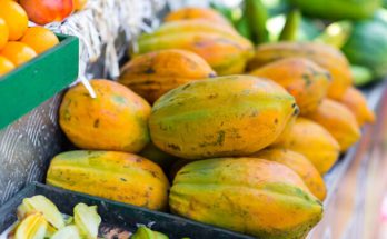Papaya (Carica papaya) termesztése, gondozása, felhasználása, jellemzői