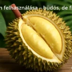 Durian fruit showing spiky shell and creamy yellow flesh inside