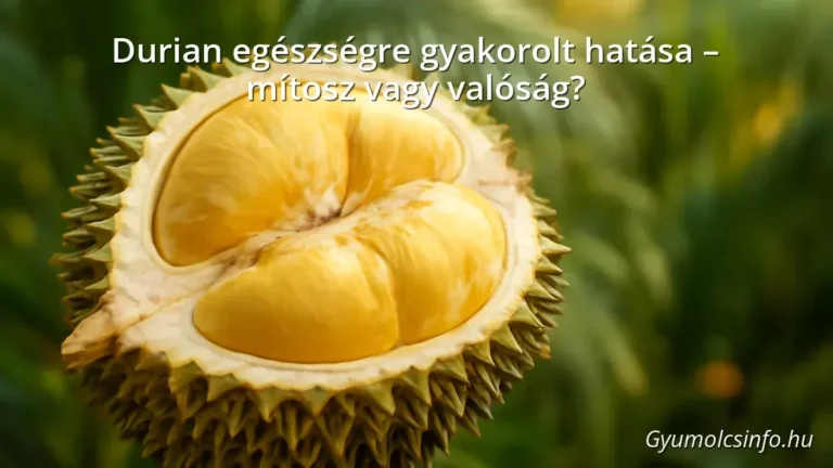 Durian gyümölcs tüskés héjjal és krémes belsővel